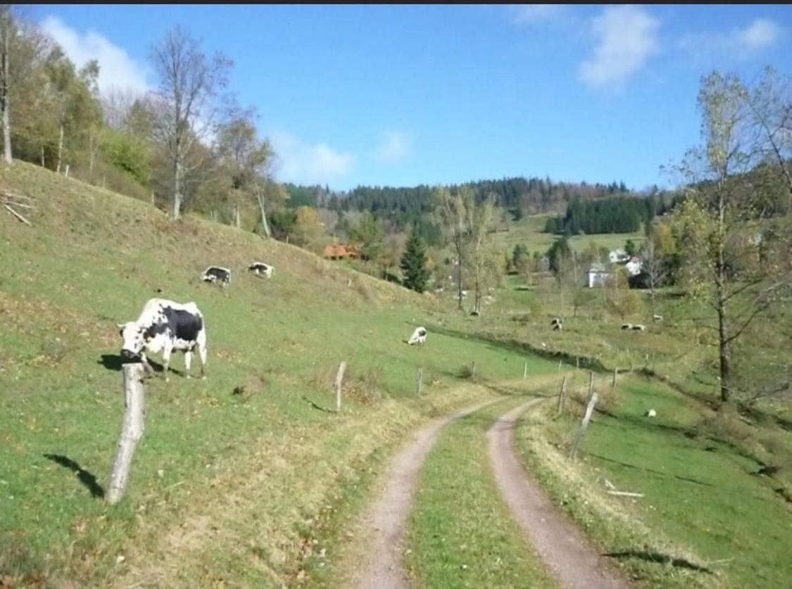 Gite De Montagne Au Pied Du Champ Du Feu Belmont  Eksteriør bilde